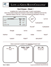 Latin and Greek Roots Challenge - Year 2 - Level 2 Student Workbook - Root Shapes